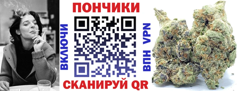 APVP Луга