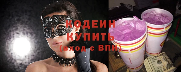 индика Бородино