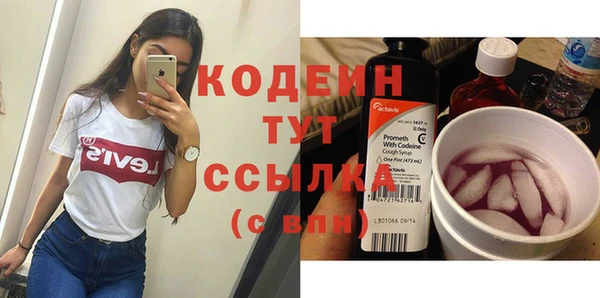 индика Бородино