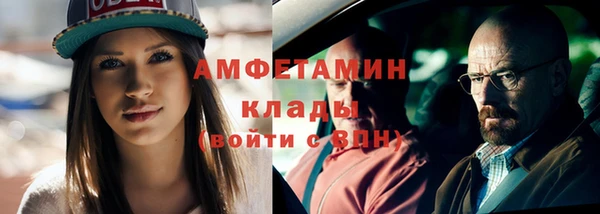 гидра Верхний Тагил