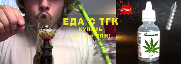 индика Бородино