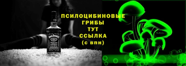 индика Бородино