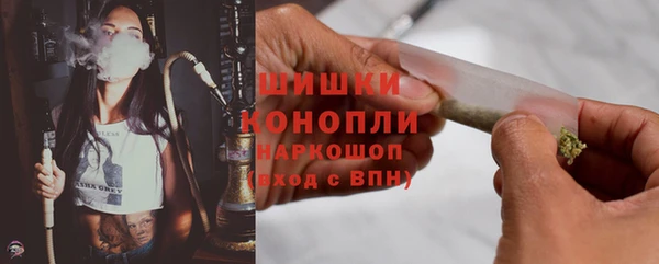 гидра Верея