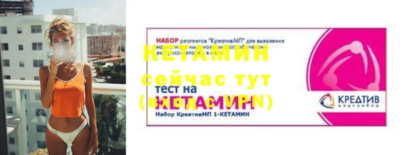 индика Бородино