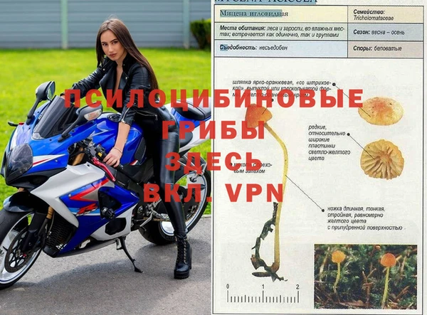 гидра Верея
