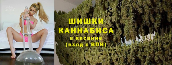 хмурый Бронницы