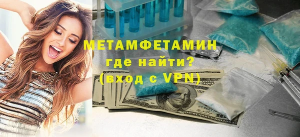 индика Бородино