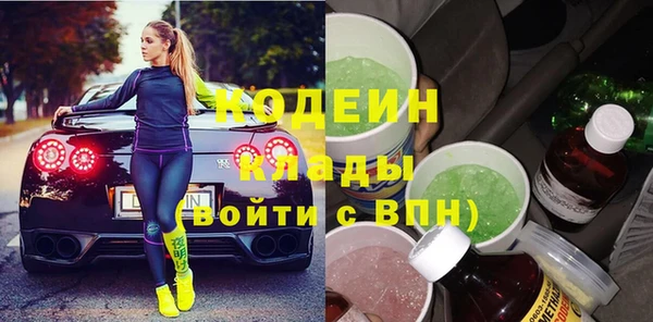 гидра Верхний Тагил