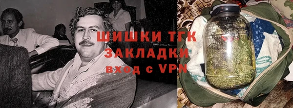 индика Бородино