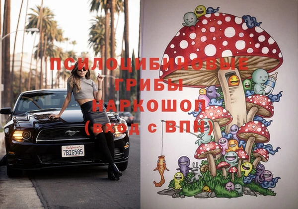 хмурый Бронницы