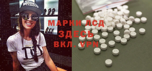 гидра Верея