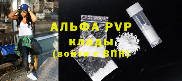 гидра Верхний Тагил