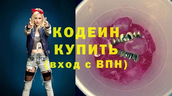 индика Бородино