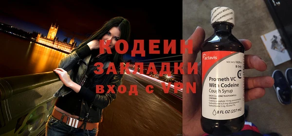 индика Бородино