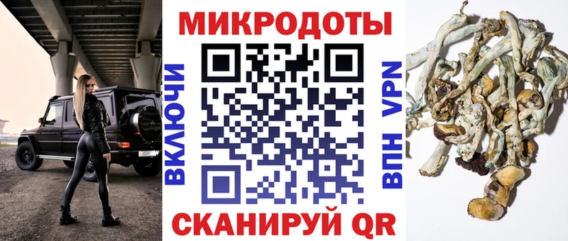 Псилоцибиновые грибы GOLDEN TEACHER  Луга 